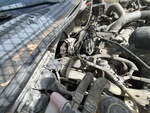 Engine with Exhaust System