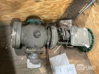 Warren D3121300 Globe Valve
