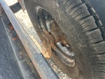 Trailer Chassis with