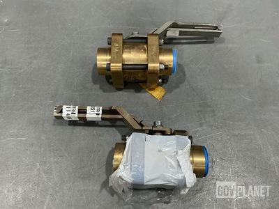 (2) Ball Valves