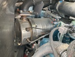Engine with Exhaust System