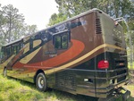 General Appearance with Paint