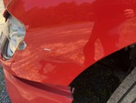General Appearance with Paint