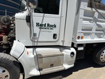 General Appearance with Paint