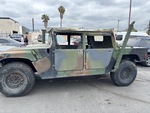 General Appearance with Paint