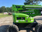 General Appearance with Paint