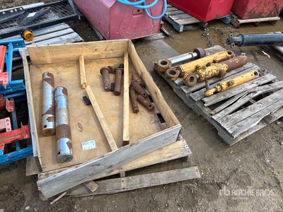 Quantity of Cat Bucket Pins & Hydraulic Cylinders