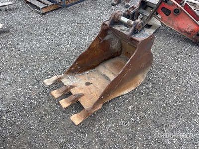 Cat 21 in Digging Excavator Bucket