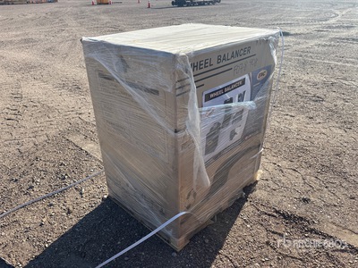 2026 EMC WB24 Equilibradora de Ruedas (Unused)