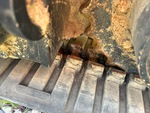 Undercarriage with Pattes d'attache de courroie en caoutchouc