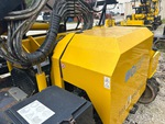 General Appearance with Paint