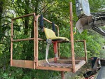 General Appearance with Paint
