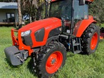 General Appearance with Paint