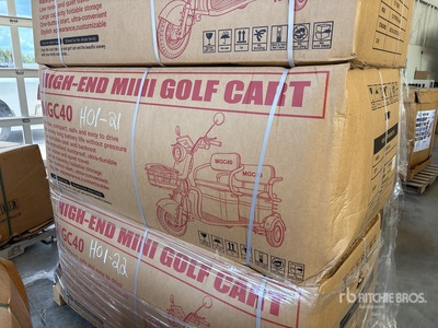 2026 MGC40-BLUE 3 TT E-Trike Mini Scooter (Unused)