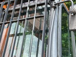 General Appearance with Glass