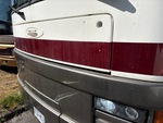 General Appearance with Pintura