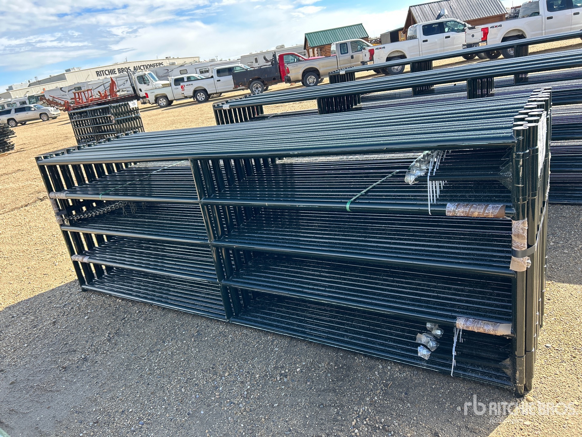 Quantity of (20) 2026 BYT RG5012 12 ft x 4 ft Heavy-Duty Ranch Livestock Gate (Unused)