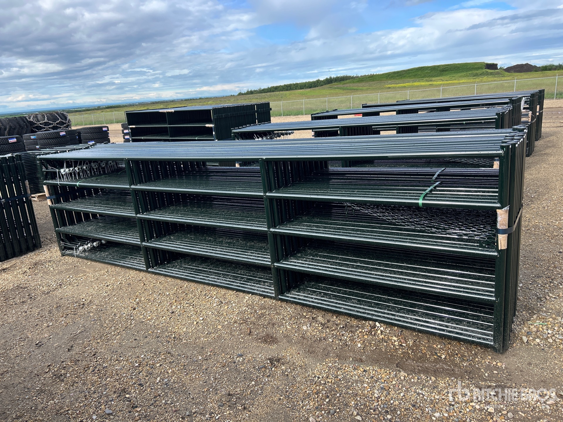 Quantity of (20) 2026 BYT RG1016 16 ft x 4 ft Heavy-Duty Ranch Livestock Gate (Unused)
