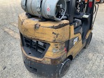 General Appearance with Paint