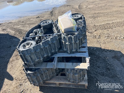 Quantity of 12 in Cingoli - Fits Polaris