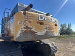 General Appearance with Paint