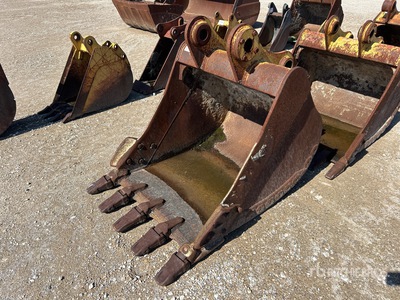 Cat 41 in Excavator Bucket