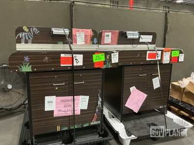 (2) Good Time Pediatric Scale Tables