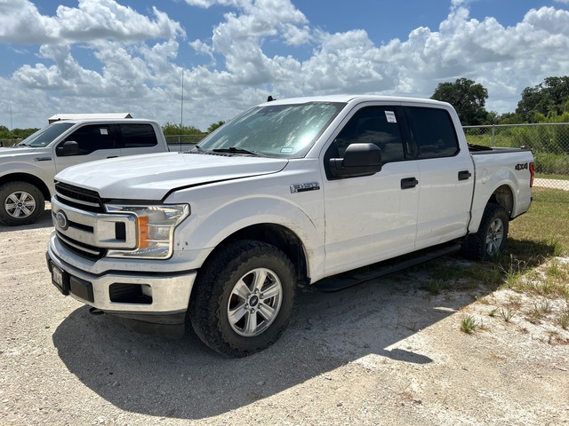 2019 Ford F-150 XLT 4x4 Crew Cab Pickup 2019 Ford F-150 XLT 4x4 Crew Cab Pickup