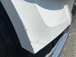 General Appearance with Paint