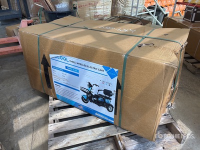 2026 SDLOOL SL-D3 Electric Trike Varios Camion (Unused)