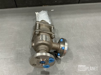 Union Flonetics R10A Safety Relief Valve