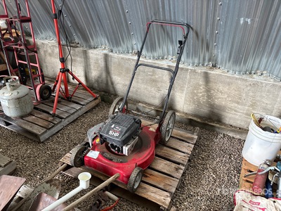 Murray Walk-Behind 22 in Lawn Mower