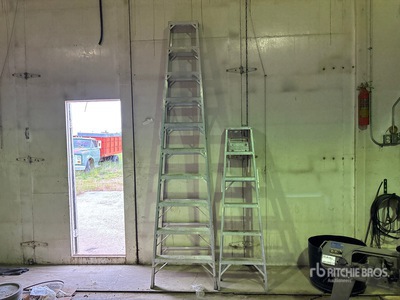 Quantity of (2) Ladder
