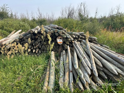 Quantity of (200) 6 ft x 5 in & 6 ft x 4 in Fence Post