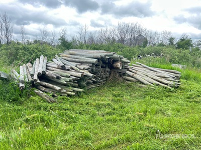 Quantity of (150) Fence Post