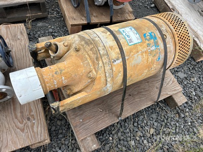 Electric Submersible Water Pump