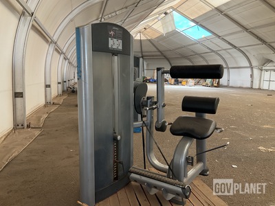 Life Fitness Back Extension Machine