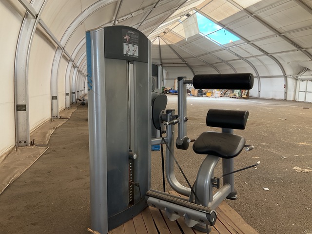 Life Fitness Back Extension Machine