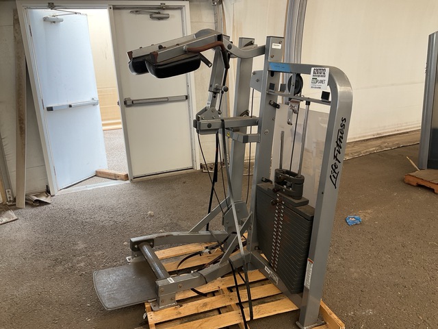 Life Fitness PSSCSE Standing Calf Exercise Equipment