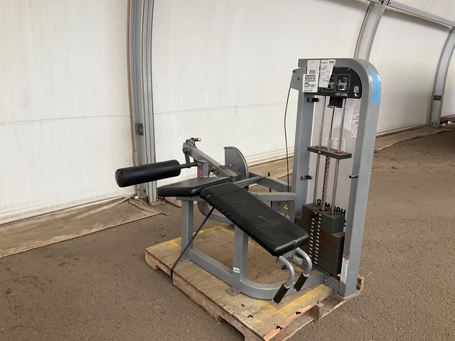 Hammer Strength HS-LC Leg Curl Exercise Equipment