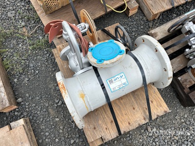Valve and Extension