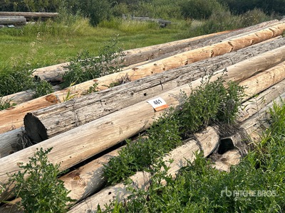 Quantity of (40) Variety Of Wooden Logs