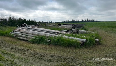 Quantity of (40) Variety Of Wooden Logs Divers - Magasin, entrepôt, consommateur