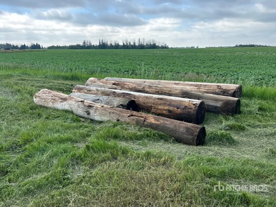 Quantity of (6) Variety Of Wood Logs Divers - Magasin, entrepôt, consommateur