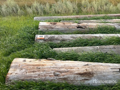 Quantity of (6) Variety Of Wood Logs