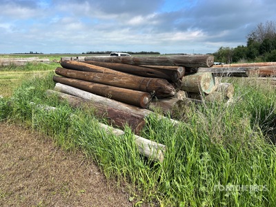 Variety Of Wood Logs Divers - Magasin, entrepôt, consommateur