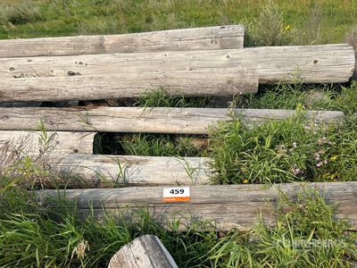 Quantity of (25) Variety Of Logs