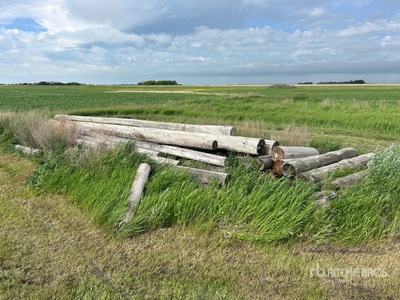 Quantity of (25) Variety Of Wood Logs Divers - Magasin, entrepôt, consommateur