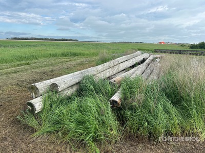 Quantity of (25) Variety Of Logs