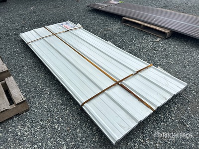 Quantity of (30) 3 ft x 8 ft Metal Roof Panels معدات بناء متنوعة (Unused)